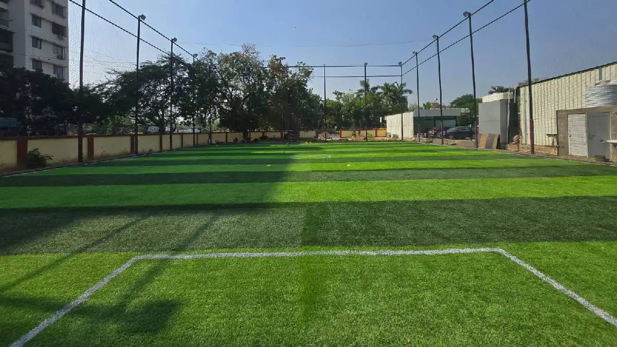 1733491677-image_cropper_1733491600947 1733491677-image_cropper_1733491600947